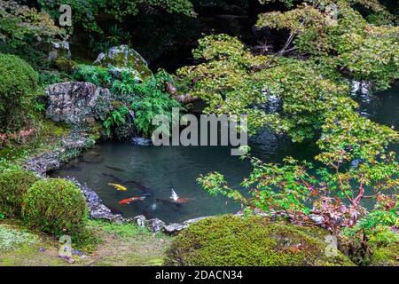 Zuishin-in Pond Garden - Zuishin-in est un temple tranquille retiré du centre-ville de Kyoto à Yamashina. Le temple est également appelé le temple de Mandala A. Banque D'Images