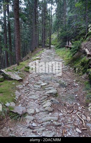 Wanderung auf dem Verdinser Waalweg zur Waalerhütte, Schenna, Südtirol, Italie Banque D'Images
