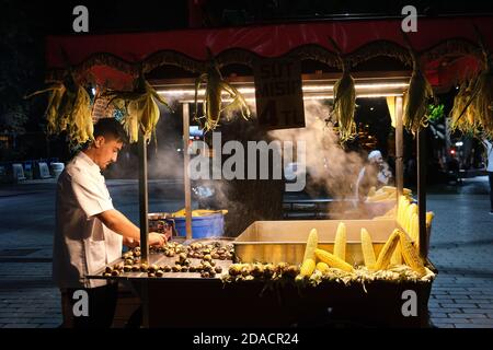 Maïs grillé sur l'épi et châtaignes grillées stall mobile la nuit, Istanbul, Turquie Banque D'Images