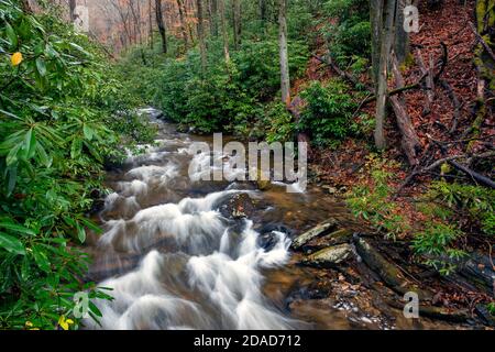 Cascade sur Avery Creek - Pisgah National Forest - Brevard, Caroline du Nord, États-Unis Banque D'Images