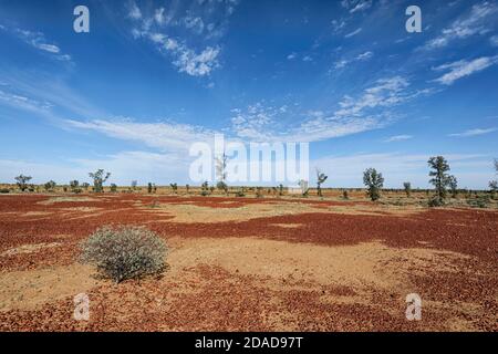 Vue sur la plaine gibère colorée dans l'Outback près de Birdsville, Queensland, Queensland, Australie Banque D'Images