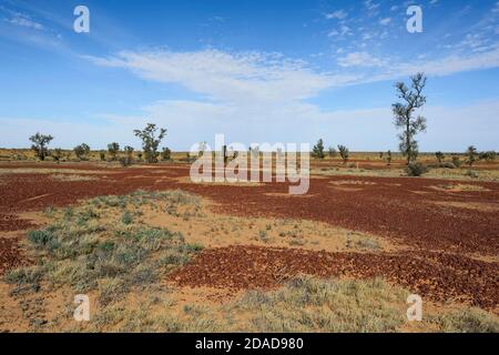 Vue sur la plaine gibère colorée dans l'Outback près de Birdsville, Queensland, Queensland, Australie Banque D'Images