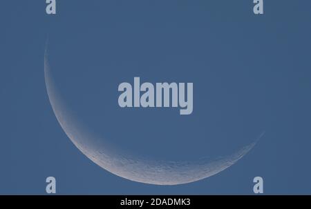 Londres, Royaume-Uni. 12 novembre 2020. Fin 11% de réduction de la Lune du croissant dans le ciel bleu tôt le matin au-dessus de Londres. Crédit : Malcolm Park/Alay Live News. Banque D'Images