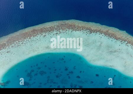 Belle île tropicale. Vue aérienne sur les îles tropicales, drone, vue en avion depuis l'atoll du récif corallien dans les îles Maldives. Voyage exotique destination nature Banque D'Images