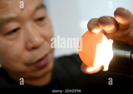 Zhangjiakou, Zhangjiakou, Chine. 12 novembre 2020. Hebei, CHINA-Qiao Changgui, 57 ans, un ouvrier ordinaire, s'intéresse à la sculpture et à la peinture depuis son enfance. Il a commencé à essayer la sculpture d'oeufs il y a 20 ans et ses compétences ont progressivement mûri.Ã‚Â Qiao Changgui oeuf décorant des travaux avec des oeufs, l'oeuf d'autruche comme matière première, après choisir des oeufs, la perforation, fluide clair, tels que le dessin, la sculpture, le processus de polissage est terminé, le sujet couvre la culture régionale, culture traditionnelle et autres sujets, faire de petits oeufs de coquille ''gravé'' œuvres montrent le 'stage' de la culture. (Image de crédit : Banque D'Images