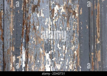La surface des anciennes planches de bois avec la peinture écaillée et abîmé. Banque D'Images