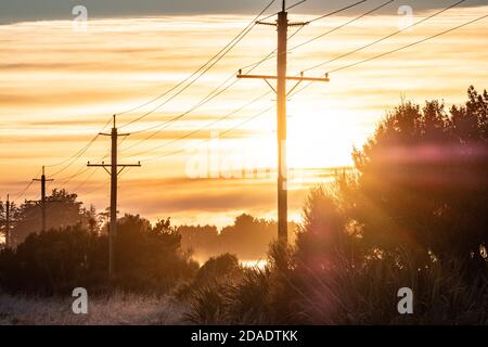 Une image de centre-jour de lignes électriques silhouetées et de brouillard près de Bluff Highway, Awarua Plains, Nouvelle-Zélande Banque D'Images