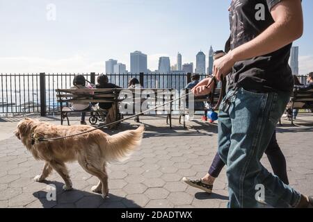 NEW YORK, États-Unis - 27 avril 2016 : groupe de jeunes marchant avec un chien sur la promenade de Brooklyn Heights. Les gens se détendent et profitent de la vue imprenable sur Man Banque D'Images