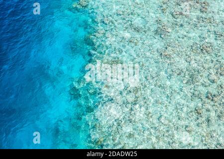 Magnifique vue de dessus récif de corail, plage de rivage, océan tropical lagon, eau de mer peu profonde. Incroyable photo de drone aérien. Motif tropical naturel exotique Banque D'Images