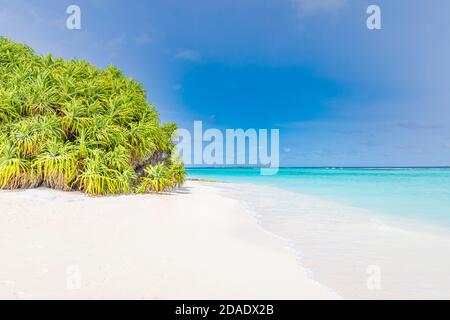 Belle plage des îles Maldives avec mangroves, sable blanc, bleu clair eau transparente avec récifs coralliens, plantes vertes de forêt tropicale Banque D'Images