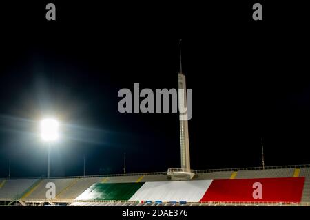 Florence, Italie. 11 novembre 2020. Vue générale Stade Artemio Franchi avec drapeau lors du match de l'UEFA 'Ligue des Nations 2020-2021' entre l'Italie 4-0 Estonie au stade Artemio Franchi le 11 novembre 2020 à Florence, Italie. Credit: Maurizio Borsari/AFLO/Alay Live News Banque D'Images