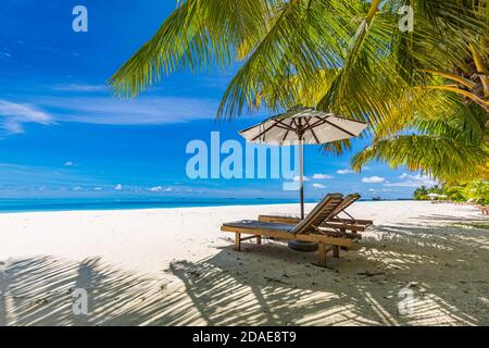 Belle plage tropicale bannière. Le sable blanc et les palmiers coco Voyage tourisme large panorama arrière-plan. Paysage incroyable. Vacances de luxe sur l'île Banque D'Images