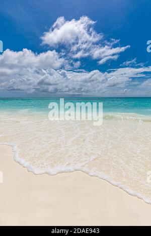 Plage et mer tropicale. Vagues relaxantes éclaboussant avec de la mousse sur du sable blanc doux. Paysage marin et horizon sans fin. Calme nature paysage sous ciel bleu Banque D'Images