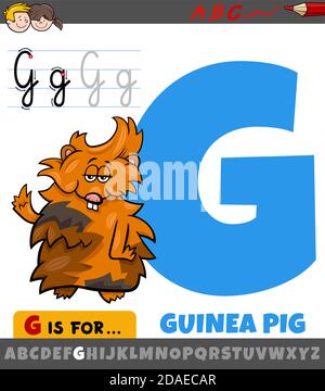 Illustration de dessin animé éducatif de la lettre G de l'alphabet avec la guinée cochon pour enfants Illustration de Vecteur