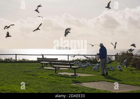 Bournemouth, Dorset, Royaume-Uni. 12 novembre 2020. Météo au Royaume-Uni : l'homme nourrit les goélands sous le soleil lorsqu'ils descendent pour manger tandis que les bateaux de croisière sont ancrés dans la baie lors d'une matinée automnale chaude et ensoleillée à Bournemouth pendant le confinement Covid-19 Two. Crédit : Carolyn Jenkins/Alay Live News Banque D'Images