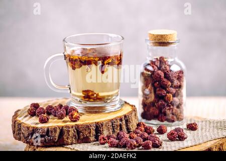 Crataegus curvisiepala Crataegus monogyna, Crataegus rhipidophylla connu sous le nom de tisane de baies d'aubépine commune ou de baies d'aubépine à simple ensemencement. Banque D'Images