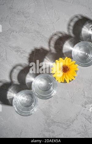 Une rangée de boissons fraîches à l'eau claire avec fleur jaune en verre sur fond de béton, composition créative en lumière dure, vue du dessus Banque D'Images