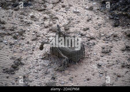 Port de plaisance de Swansea, Swansea, Royaume-Uni. 12 novembre 2020. Vieux trolley dans la boue et le sable de Swansea Docks aujourd'hui. Credit: Phil Rees/Alamy Live News Banque D'Images