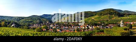 Vue panoramique sur le magnifique village d'Andlau en Alsace. Pentes avec raisins mûrs. Vue magnifique sur les Vosges. Idylle et grâce. Banque D'Images