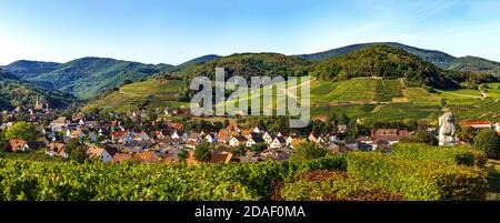 Vue panoramique sur le magnifique village d'Andlau en Alsace. Pentes avec raisins mûrs. Vue magnifique sur les Vosges. Idylle et grâce. Banque D'Images