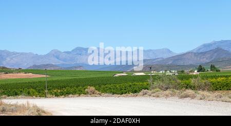 Vignobles et fermes viticoles entre McGregor et Robertson, Robertson Wine Valley, Western Cape, Winelands, Afrique du Sud au printemps Banque D'Images