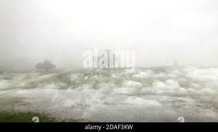 Magnifique paysage enchanté avec un vieux chêne le milieu d'un champ brumeux Banque D'Images