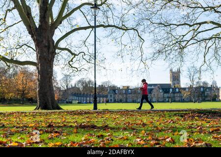 Cambridge, Royaume-Uni. 12 novembre 2020. Un cycliste traverse Jésus-Vert un jour d'automne ensoleillé. Au cours d'une semaine mixte de temps, l'est de l'Angleterre a eu principalement des périodes ensoleillées aujourd'hui. Crédit : Julian Eales/Alay Live News Banque D'Images