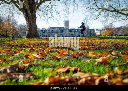 Cambridge, Royaume-Uni. 12 novembre 2020. Un cycliste traverse Jésus-Vert un jour d'automne ensoleillé. Au cours d'une semaine mixte de temps, l'est de l'Angleterre a eu principalement des périodes ensoleillées aujourd'hui. Crédit : Julian Eales/Alay Live News Banque D'Images