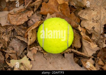 Une balle de tennis est couchée sur les feuilles mortes Banque D'Images