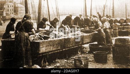 Jeunes filles de hareng écossais itinérantes, des harengs de « gipping » ou de canivage prêts à être emballés dans des barils à Whitby, dans le North Yorkshire, vers les années 1940. Ces femmes suivraient les bateaux de pêche autour des côtes de la Grande-Bretagne, prêts à effectuer leur travail comme les harengs ont été déchargés dans différents ports quand les bateaux sont arrivés. Banque D'Images