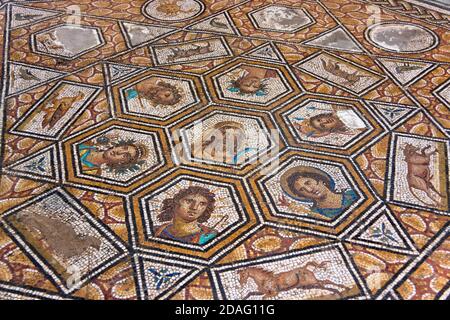 Sol en mosaïque au Musée national de Bardo, Tunis, Tunisie Banque D'Images