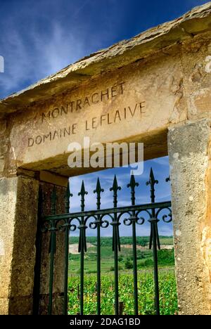 DOMAINE LEFLAIR GRAND cru VINEYARD entrée en pierre du domaine Leflaive Domaine de Bourgogne vénéré 'LE MONTRACHET' à Puligny-Montrachet Côte d'Or France Banque D'Images