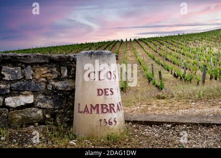 Clos des Lambrays Grand Cru vineyard pilier en pierre à boundary Morey-St-Denis, Côte d'Or, France. [Côte de Nuits Grand Cru] Banque D'Images