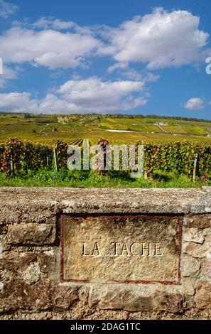 La Tache vignoble plaque de nom de pierre dans le mur limite la Tache vignoble soleil et ciel bleu. Domaine de la Romanee-Conti, Vosne Romanee, Côte d’Or France Banque D'Images