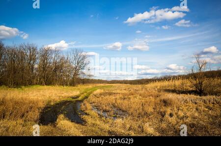 Sentier traversant la prairie printanière dans la steppe, début du spritngtime en Ukraine Banque D'Images