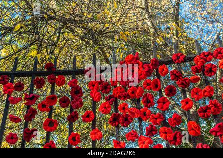 Des coquelicots sur la porte du parc pour le souvenir le dimanche 2020. 30 octobre 2020. Hexham, Angleterre. Banque D'Images