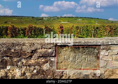 Le vignoble de la Tache plaque en pierre gravée sur le mur limite du domaine de la Romanee-Conti, Vosne Romanee, Côte d’Or, France Banque D'Images