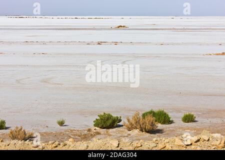 Chott el Djerid (lac de sel endorhéique), Tunisie Banque D'Images