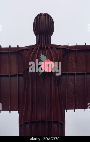 L'Ange du Nord avec le coquelicot de la Légion britannique à Gateshead, au nord-est de l'Angleterre. Le grand coquelicot est visible sur la statue d'Anthony Gormley, connue comme la porte d'entrée du nord-est de l'Angleterre. 11 novembre 2020. Gateshead, Royaume-Uni. Banque D'Images