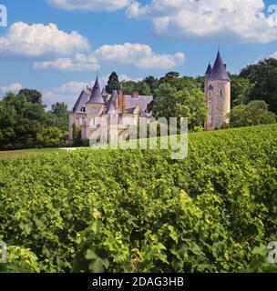 Château de Tracy, Sauvignon Blanc avec des vignes en premier plan Tracy-sur-Loire, Pouilly-Fumé, Nièvre, France. Banque D'Images