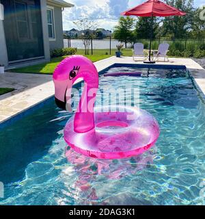 Un flamant rose flottant dans une piscine arrière-cour par une belle journée d'été. Banque D'Images