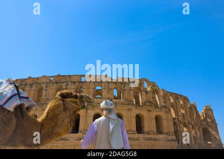 Homme à dos de chameau avec amphithéâtre romain, le troisième plus grand du monde, site classé au patrimoine mondial de l'UNESCO, El Jem, Tunisie Banque D'Images