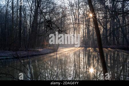 Eiskalter Wintermorgen im Wald mit See, aufgehender sonne, Sonnenstrahlen und kahlen Bäumen. Leipzig, Auwald Banque D'Images