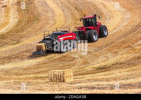 Tracteur à roues 4RM CaseIH tirant une grande presse à balles rectangulaires à Balle de paille de blé dans la région de Palouse, dans l'est de l'État de Washington Banque D'Images