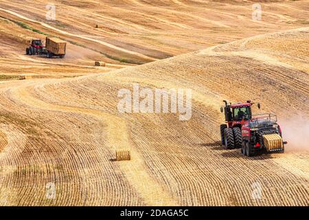 Tracteur à roues 4RM CaseIH tirant une grande presse à balles rectangulaires à Balle de paille de blé dans la région de Palouse, dans l'est de l'État de Washington Banque D'Images