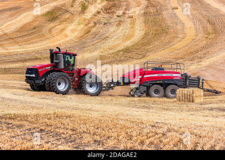 Tracteur à roues 4RM CaseIH tirant une grande presse à balles rectangulaires à Balle de paille de blé dans la région de Palouse, dans l'est de l'État de Washington Banque D'Images