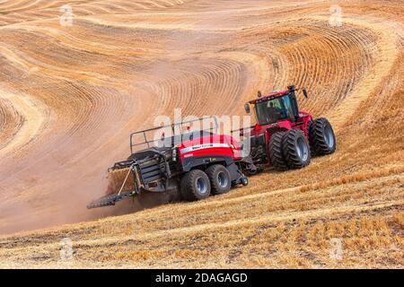 Tracteur à roues 4RM CaseIH tirant une grande presse à balles rectangulaires à Balle de paille de blé dans la région de Palouse, dans l'est de l'État de Washington Banque D'Images