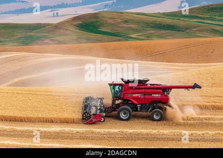 La moissonneuse-batteuse CaseIH récolte du blé sur les collines de la Palouse Région de l'est de Washington Banque D'Images