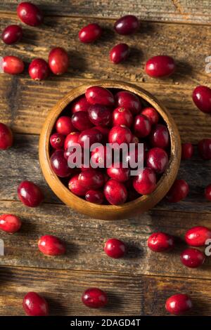 Canneberges biologiques rouge dans un bol Banque D'Images