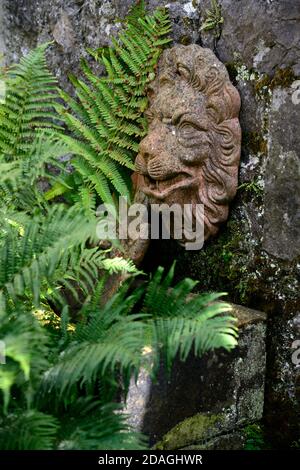 tête de lion, lion, tête de lion, bec d'eau, fontaine, fontaine, élément d'eau, jardin, gouttière, jardin, motif floral RM Banque D'Images